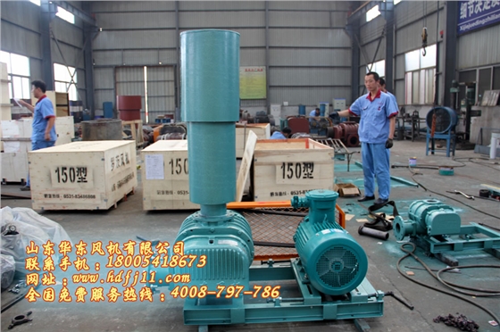 IMG_2914.jpg IMG_2914.jpg