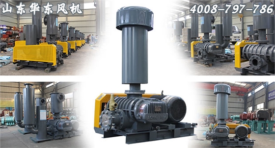 魯式風(fēng)機 魯式風(fēng)機