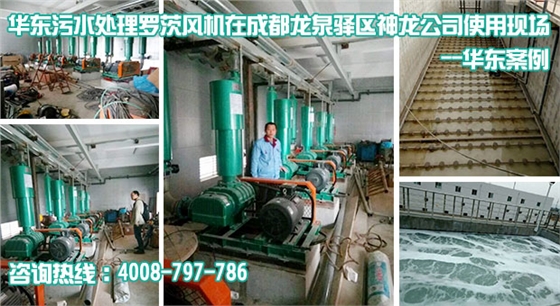 華東曝氣風(fēng)機(jī)在神龍公司污水處理站 華東曝氣風(fēng)機(jī)在神龍公司污水處理站