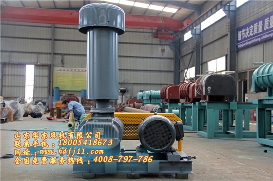 魯氏風(fēng)機(jī) 魯氏風(fēng)機(jī)