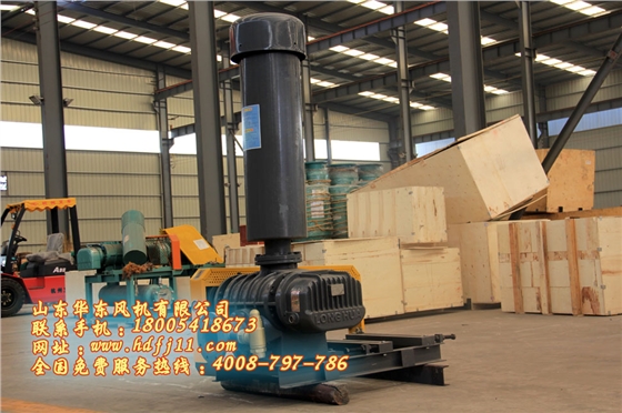 魯氏風(fēng)機(jī) 魯氏風(fēng)機(jī)