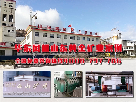 羅茨風(fēng)機(jī) 羅茨風(fēng)機(jī)