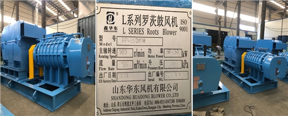 二葉羅茨風(fēng)機(jī) 二葉羅茨風(fēng)機(jī)