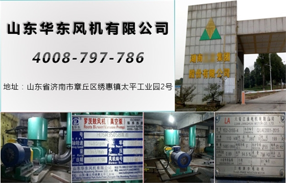 三葉羅茨風(fēng)機(jī) 三葉羅茨風(fēng)機(jī)