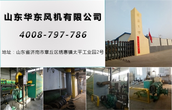 羅茨風(fēng)機 羅茨風(fēng)機