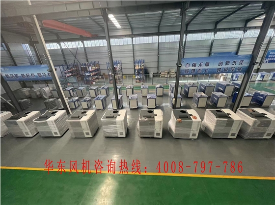 羅茨風(fēng)機(jī)過(guò)濾器堵塞 羅茨風(fēng)機(jī)過(guò)濾器堵塞