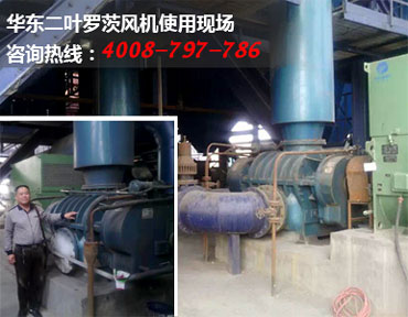二葉羅茨風(fēng)機現(xiàn)場圖片 二葉羅茨風(fēng)機現(xiàn)場圖片