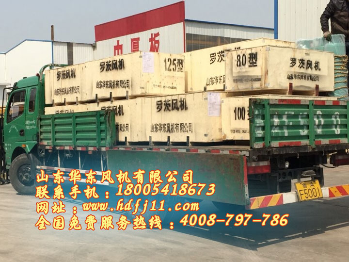 水泥廠用羅茨風(fēng)機