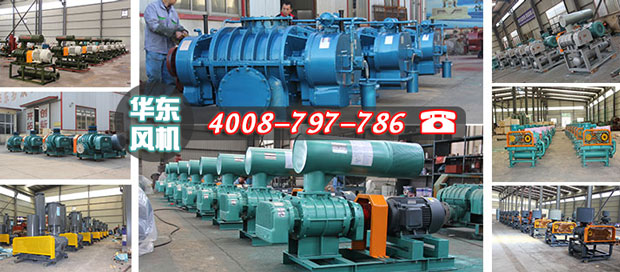 華東羅茨風(fēng)機(jī) 華東羅茨風(fēng)機(jī)