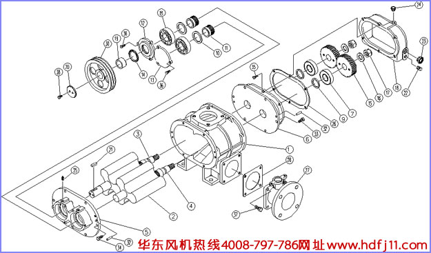 羅茨風機結(jié)構圖.jpg 羅茨風機結(jié)構圖.jpg