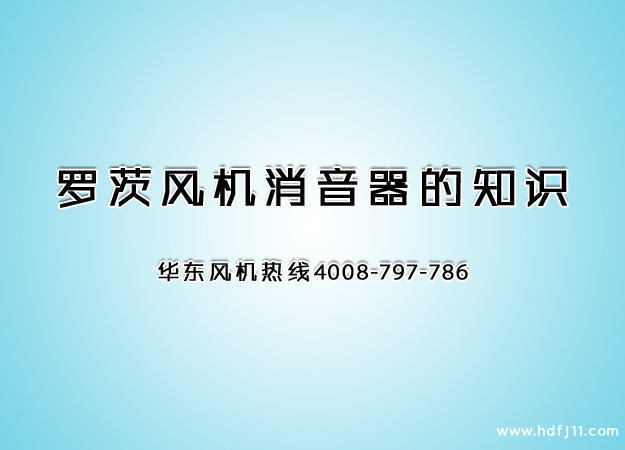 羅茨鼓風(fēng)機(jī)消音器.jpg