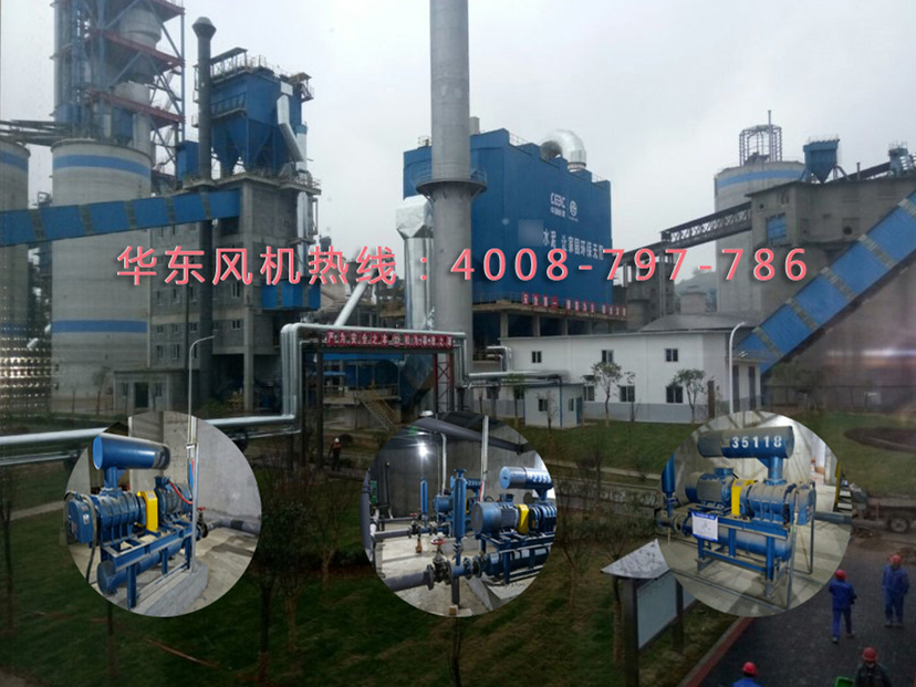 密集型羅茨風(fēng)機(jī) 密集型羅茨風(fēng)機(jī)