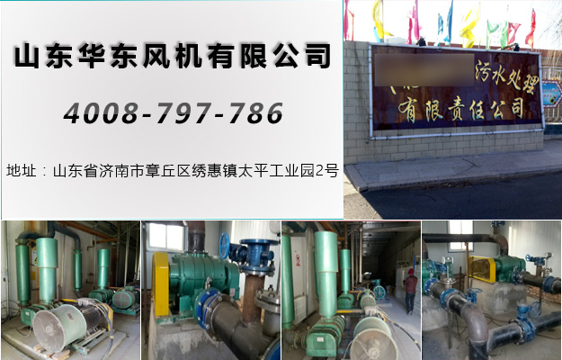 華東案例-張家口*****污水處理有限責任公司